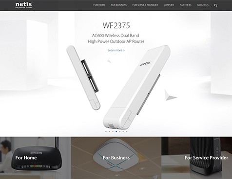 Netis Systems Co., Ltd. 网站建设项目